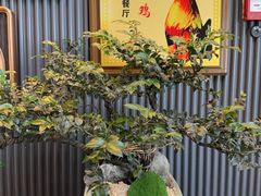 -广州塔晖粤轩中餐厅