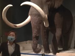 -大庆市博物馆