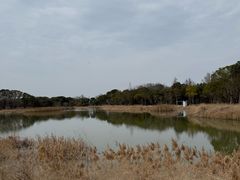 -河姆渡遗址博物馆