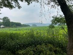 -东湖落雁景区