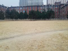 -辽宁大学(崇山校区)
