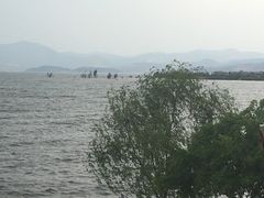 -恋羊时代黑山羊火锅(滨海大道店)