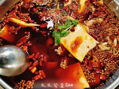 -味之绝热血美蛙鱼火锅(中坝店)