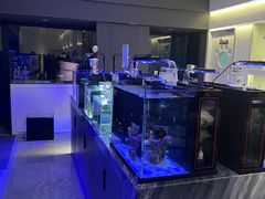 -1013 PET SHOP精品宠物商店(丁香店)