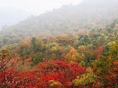 -广州市石门国家森林公园