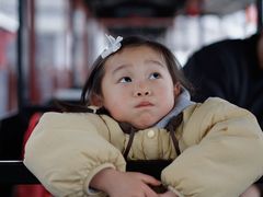 -武汉紫薇都市田园