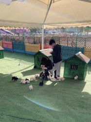 -萌宠亲子动物乐园(槐房万达店)