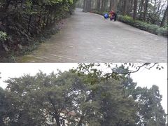 -重庆抗战遗址博物馆