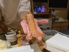 -镹·鱼料理  国产鱼使用店