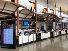 -纽瓦克自由国际机场