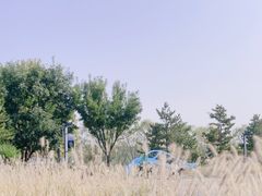 -东郊湿地公园