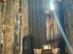 -斯蒂芬主教座堂(Stephansdom)