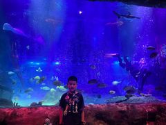 -沈阳海洋探索中心