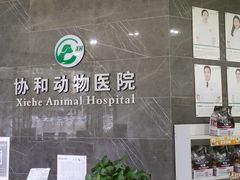 -瑞鹏瑞爱宠物医院·全科·猫科·血液透析中心(龙头寺店)