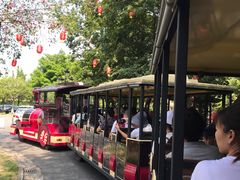 -中旅阿那亚九龙湖·公主酒店