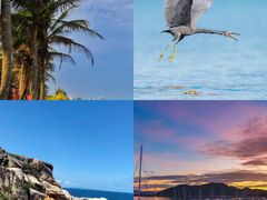 -亚龙湾海底世界