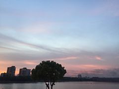 -宁波大剧院