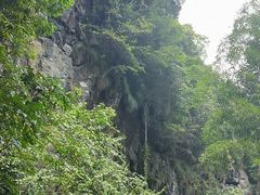 -石台牯牛降景区