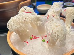 -季季山·云南野生菌火锅(上海首店)