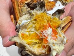 -杨氏青龙虾·羊蝎子(托乐嘉店)