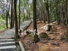 -火炉山森林公园