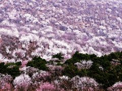 -定都峰