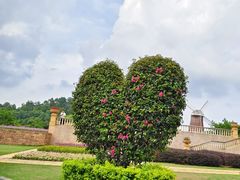 -东莞植物园