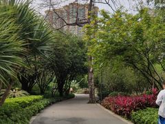 -晓港公园