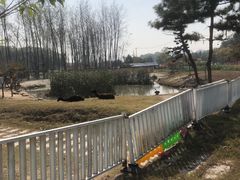 -佛手湖郊野公园