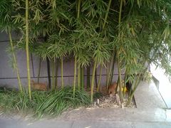 201405192021-金陵图书馆