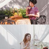 杭城秋日小众仙境/乘船畅游湿地江南古村落
