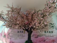 -翠微百货(龙德店)