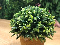 -大熊小厨(七星店)