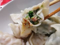 韭菜鲜肉饺-袁记云饺(邯郸路店)