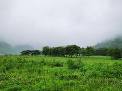 -大九湖