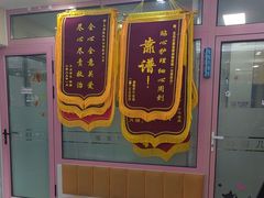 -全心全意连锁动物医院·微创中心·内科急重症·心脏专科(丰管路店)