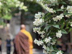 -潭柘寺景区