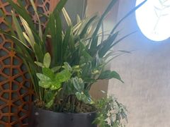 -颐而康·按摩·艾灸·足疗(武陵大道店)