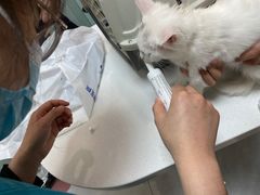 -中农大我爱我爱动物医院·核磁CT·猫病·24小时夜诊中心(石佛营店)