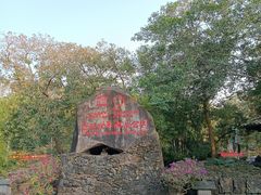 -海口火山口国家地质公园