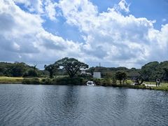 -济州森林小火车生态公园