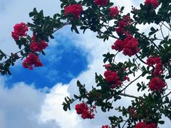 -牛背梁国家森林公园