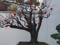 -龙华寺