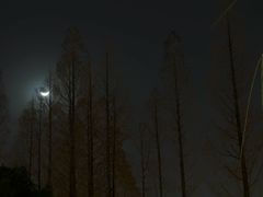 -上海松江假日酒店