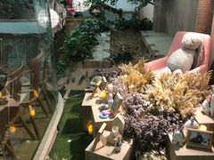 -藦茜花园宠物主题亲子互动体验馆(国顺东路店)