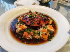 -沪碟·精菜坊(闵行店)