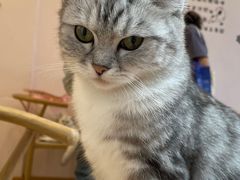 -猫咪派对(江南西店)