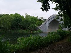 -映月湖公园