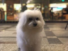 -星巴克(万都店)