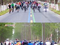 -黄海国家森林公园